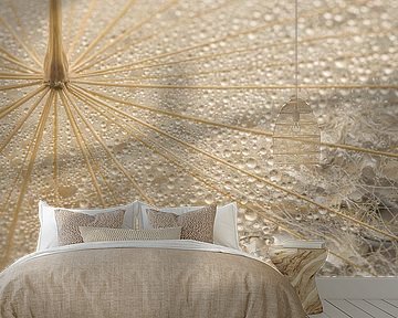 Panorama mit natürlichen Farben: Ein Flaum mit Wassertröpfchen von Marjolijn van den Berg