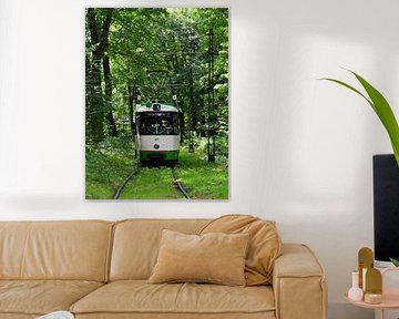 Tram in green