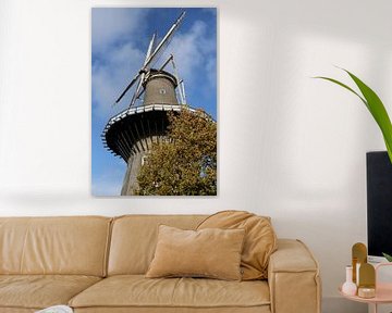 Mill in Leiden by Foto Nico