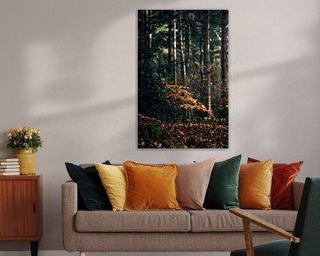 Kleiner Herbstbaum