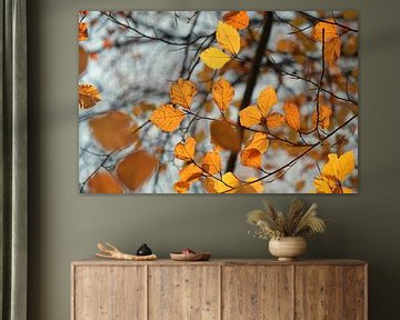 Oranje herfstbladeren van Lisa Bouwman