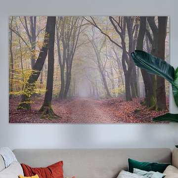 Mist in November van Cor de Hamer