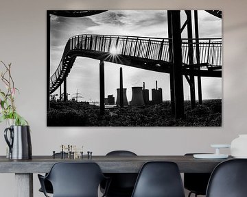 Tiger &amp ; Turtle en contre-jour | Duisburg sur Flatfield