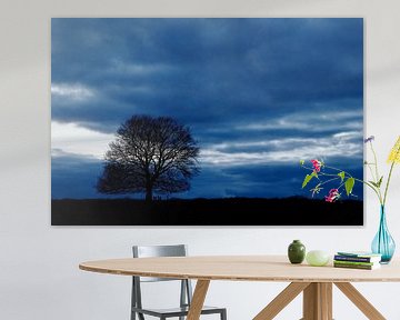 Eder Heide in blue by Wim Baan