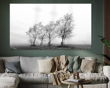 Three trees in the fog by Cobi de Jong