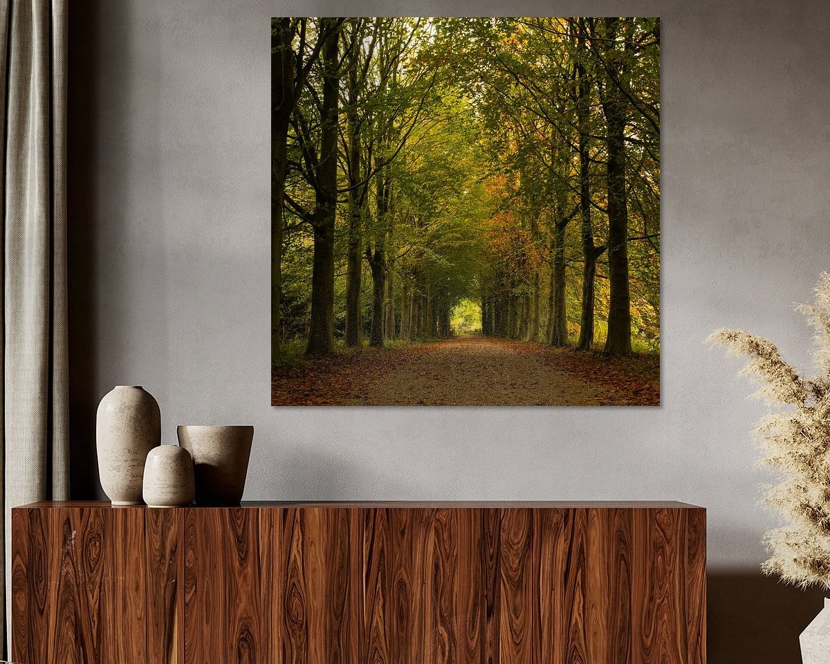 Raumvorschau