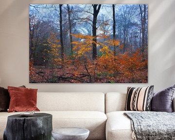 Die letzten Herbstfarben im Wald von Corinne Welp