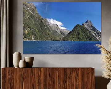 De majestueuze fjorden van Milford Sounds van Frank Photos