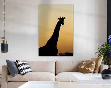 giraffe met zonsondergang van Ruben van de Zande