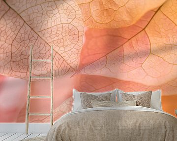 Pink and soft orange pastel colours: Petals in Lanzarote by Marjolijn van den Berg