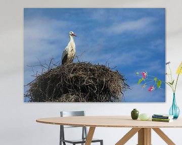 Ooievaar wacht op het nest van Fotografie Jeronimo