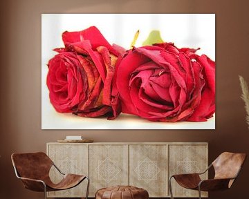 rosas rojas von Azucena Kouwenhoven