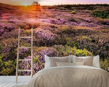 Zonsondergang over de heide van Martijn Kort