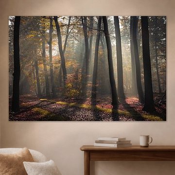 Zonneharpen in de herfst van fotomeisjeuitbrabant