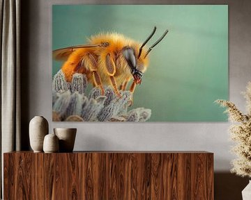 Bee in detail by Poster Art Shop