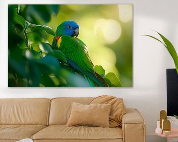 Kleurrijke papegaai in het licht van Poster Art Shop