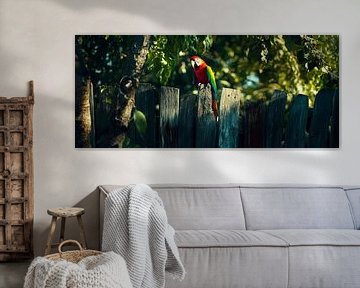Bunter Papagei auf Zaun von Poster Art Shop