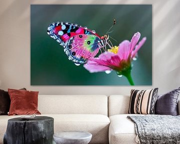 Colourful butterfly blooms by Poster Art Shop