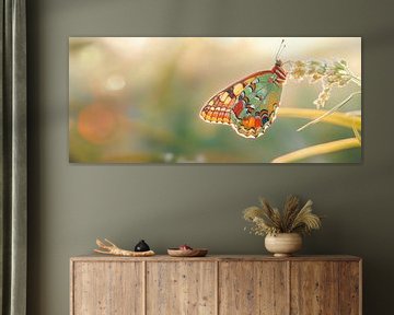 Kleurrijke vlinder van Poster Art Shop