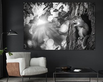 Eekhoorn in een boom van Poster Art Shop