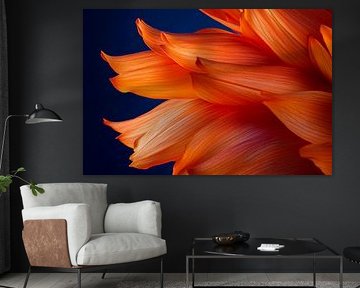 Energy of colour by Poster Art Shop