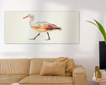 Ontspannen eendenfoto van Poster Art Shop