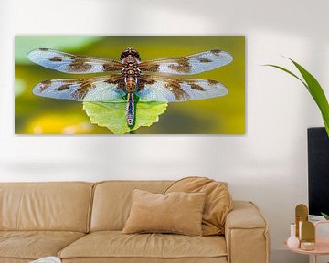 Fliegende Schönheit von Poster Art Shop