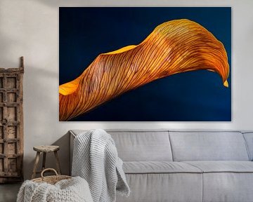 Golden petals by Poster Art Shop