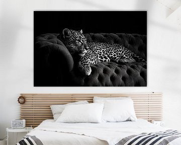 Luipaard op bank van Poster Art Shop