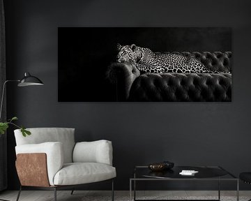 Léopard sur canapé sur Poster Art Shop