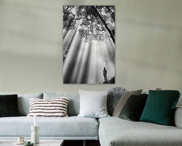La lumière à travers les arbres sur Poster Art Shop
