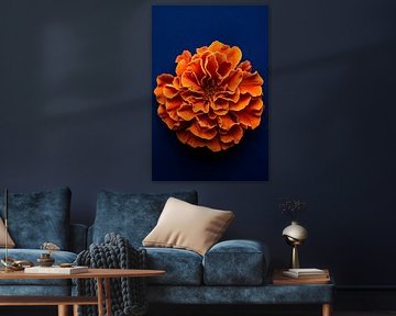 Leuchtende orange Blüte von Poster Art Shop