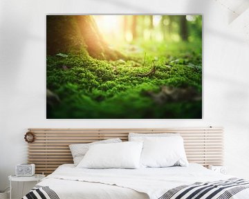 Vue moussue de la forêt sur Poster Art Shop