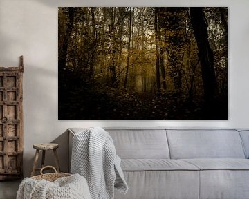 Golden autumn symphony