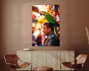 Parrot on the head by Poster Art Shop