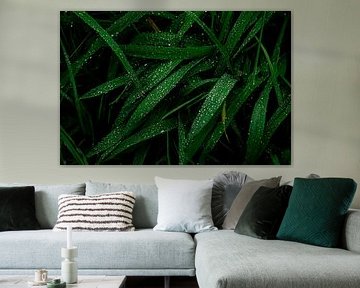 Raindrops on grass by Poster Art Shop
