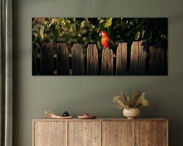Rode vogel op het hek van Poster Art Shop