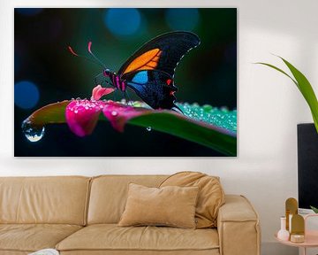 Butterfly in the rain by Poster Art Shop