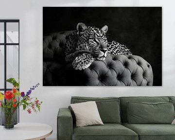 Léopard élégant sur Poster Art Shop