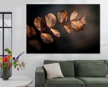 Esthétique éphémère sur Poster Art Shop