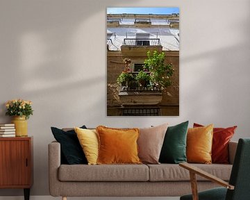 Balcon avec plantes