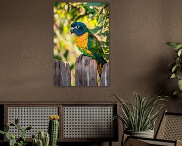 Kleurrijke papegaai op hek van Poster Art Shop