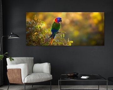Kleurrijke papegaai in het licht van Poster Art Shop