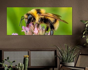 Abeille sur une fleur sur Poster Art Shop