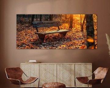 Banc de repos automnal sur Poster Art Shop
