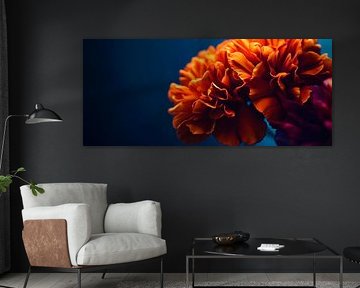 Lichtgevende bloemenpracht