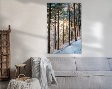 Magie van het winterse bos van Poster Art Shop