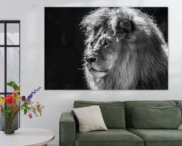 "King" of the Animal Kingdom (Monochrome) von Kaj Hendriks