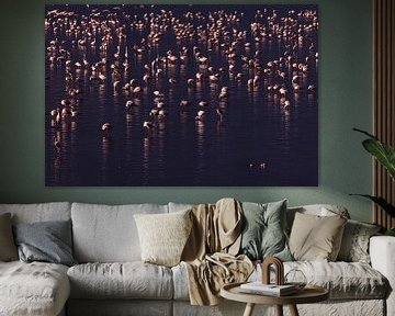 Een meer vol roze van Sharing Wildlife