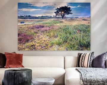 flowering heather in the Helders dunes by eric van der eijk